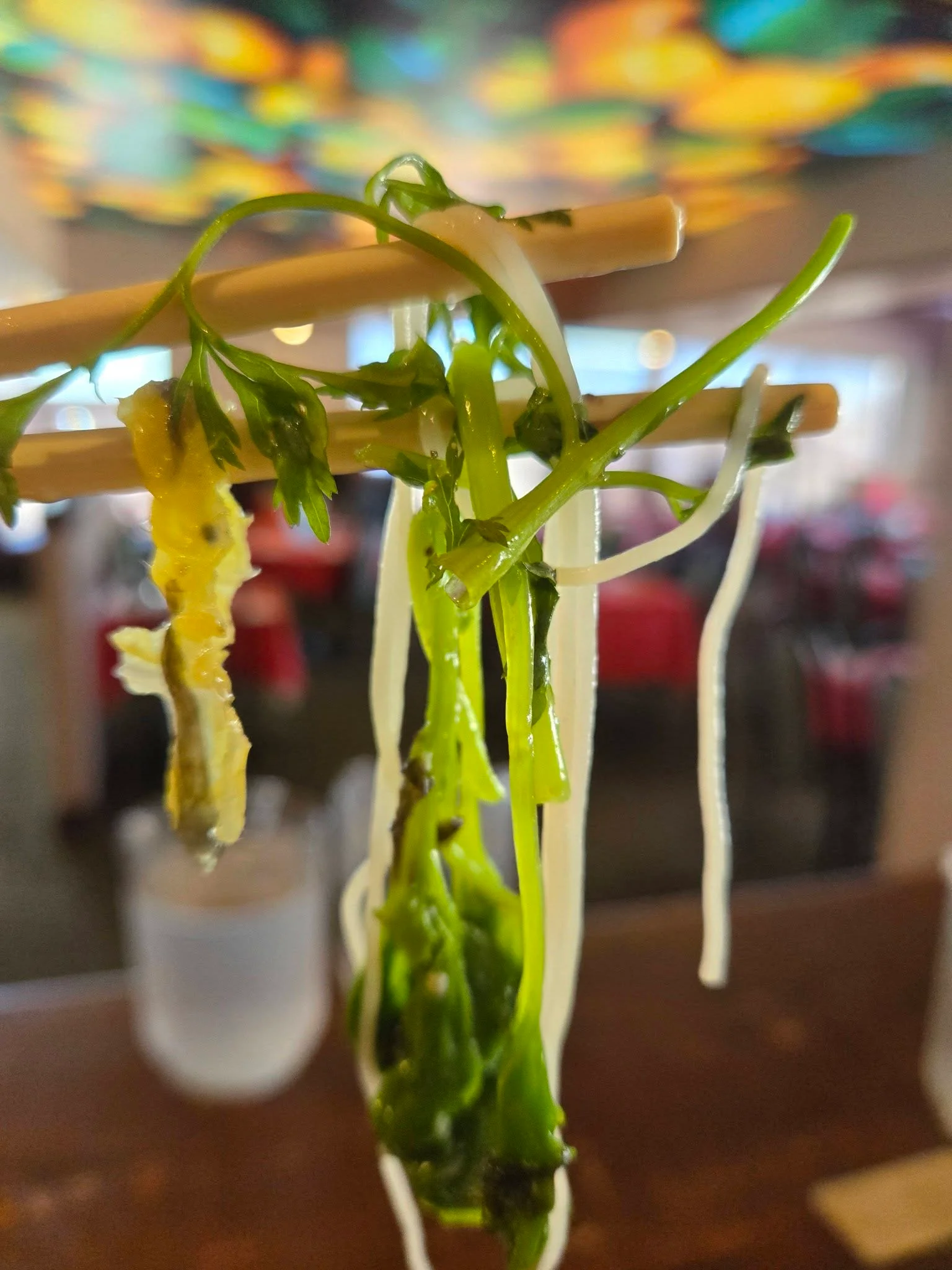 Fresh noodles with greens served at Rose Garden Regina private events